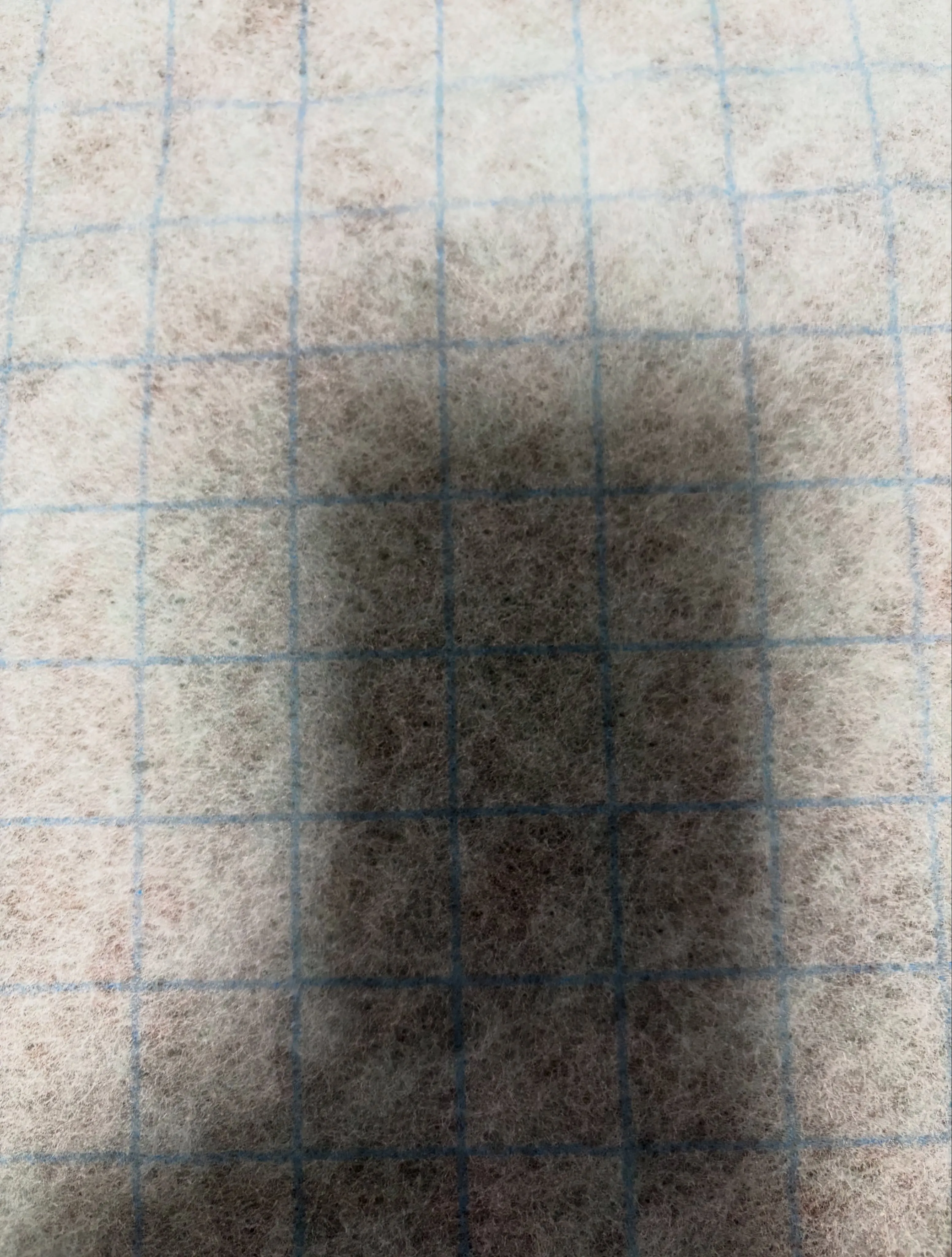 空気の王様