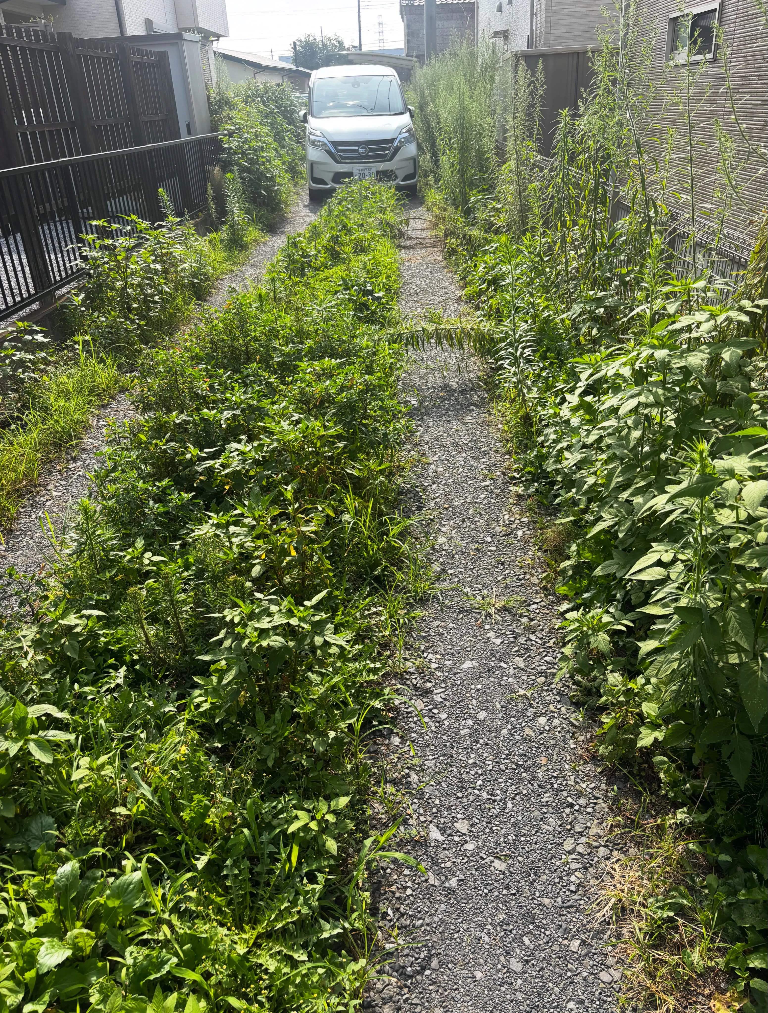 石橋地区で草刈りしてきました!笑