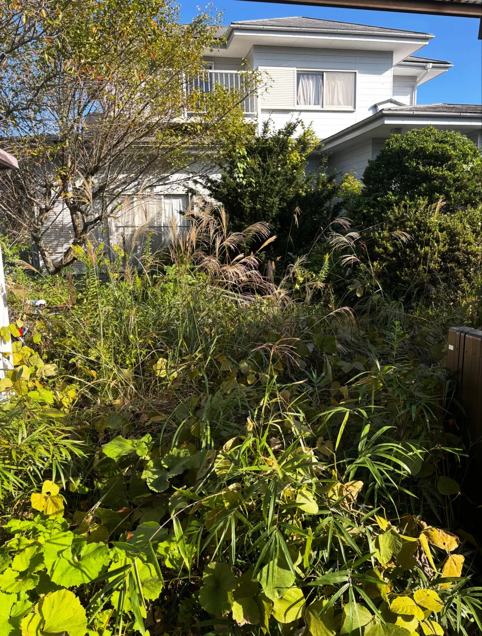本日は、日光市のお客様のご依頼で庭の草刈りを行いました。