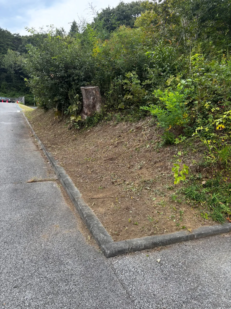 今週は喜連川町で草刈りウィークです!